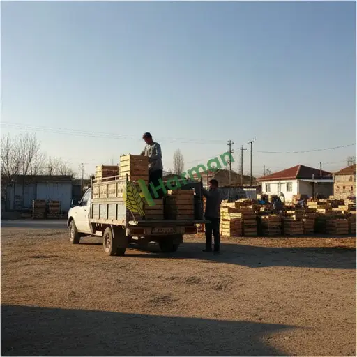 Yozgat Yenifakılı Aranan Shiitake Mantarı