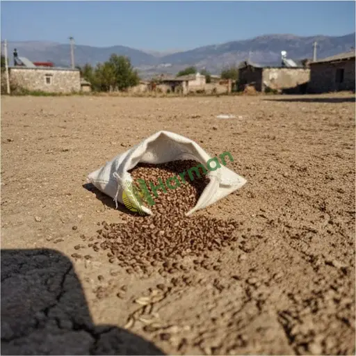 Aksaray Sultanhanı'nda zahter tohumu arıyorum