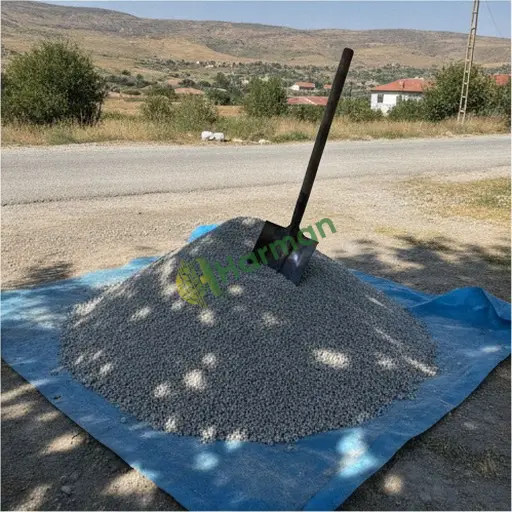 Bartın'da zeolit alınır