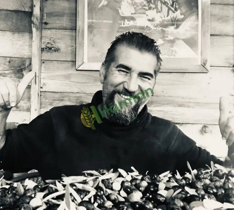 ZEYTİN 8 TON istediğin gün hasat