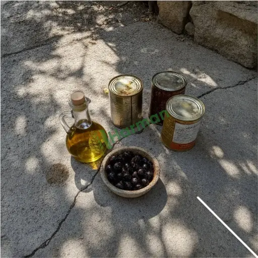 Bolu Yeniçağa'da zeytinyağı alınacak