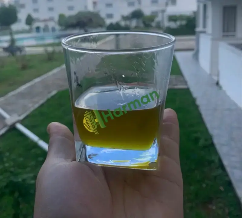 Zeytinyağı yüksek kalite soğuk sıkım