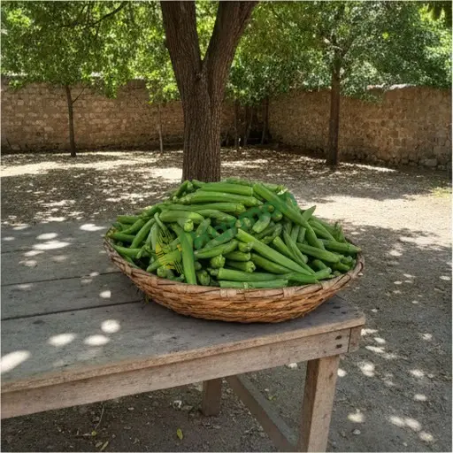 Bamya alınır - Zonguldak Devrek