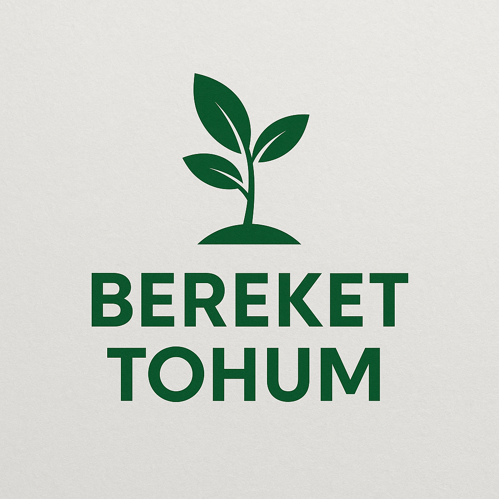 Bereket Tohum