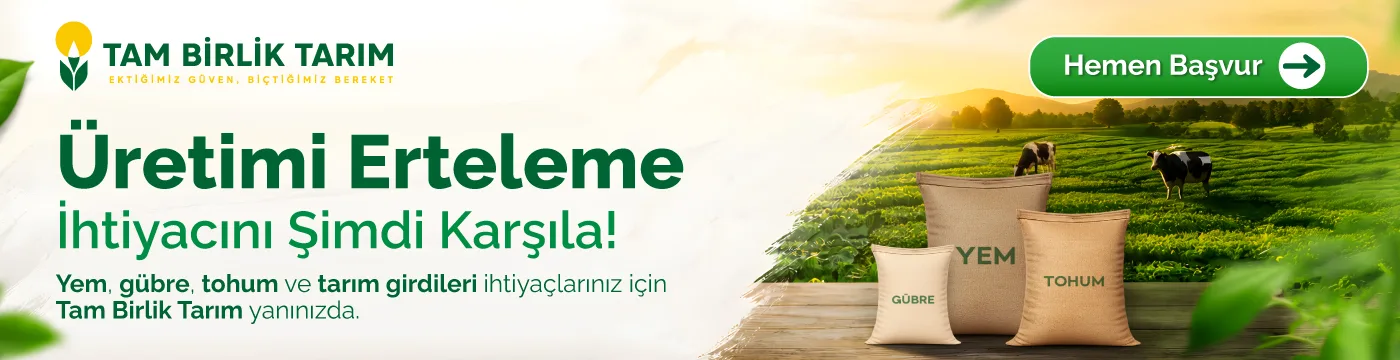 Tam Birlik - Hava İlçe (İnek)